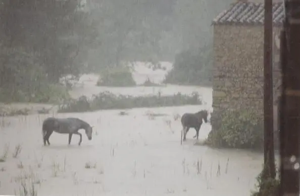 Les chevaux n&rsquo;aiment pas
