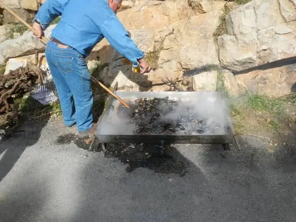 Brasucade de moules