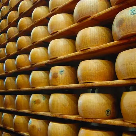 Parmesan