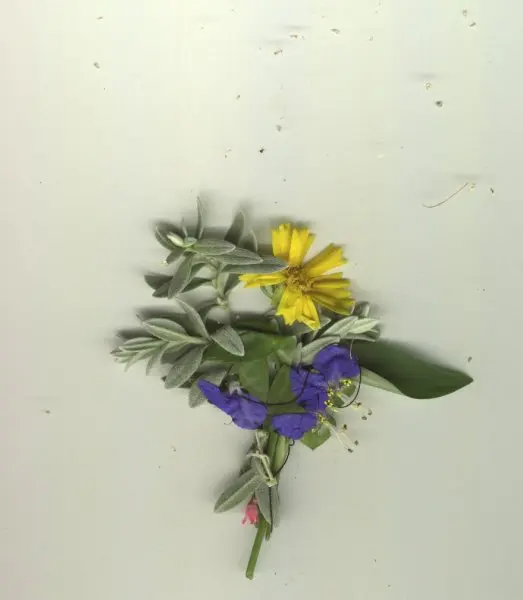 &ldquo;Misère bleue&rdquo;